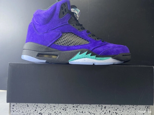 Alternate 5 Jordan Air Grape Retro 136027-500 0718